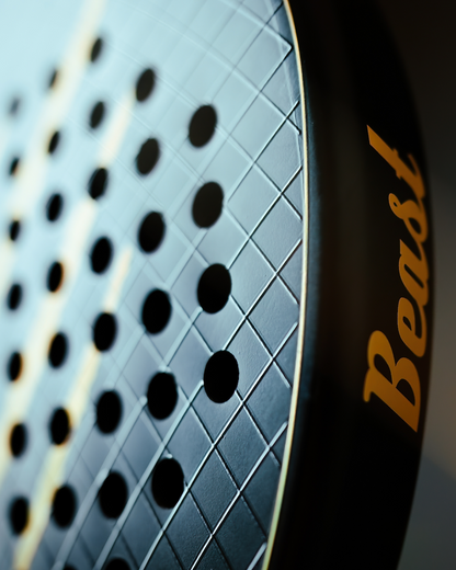 Beast Padel Racket Panther matt 365