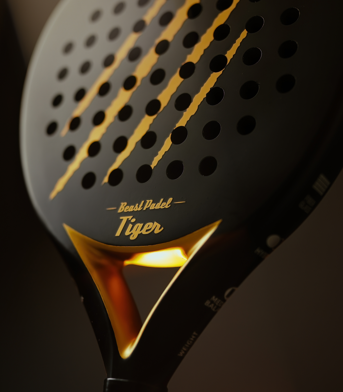 Beast Padel Racket Tiger matt 325